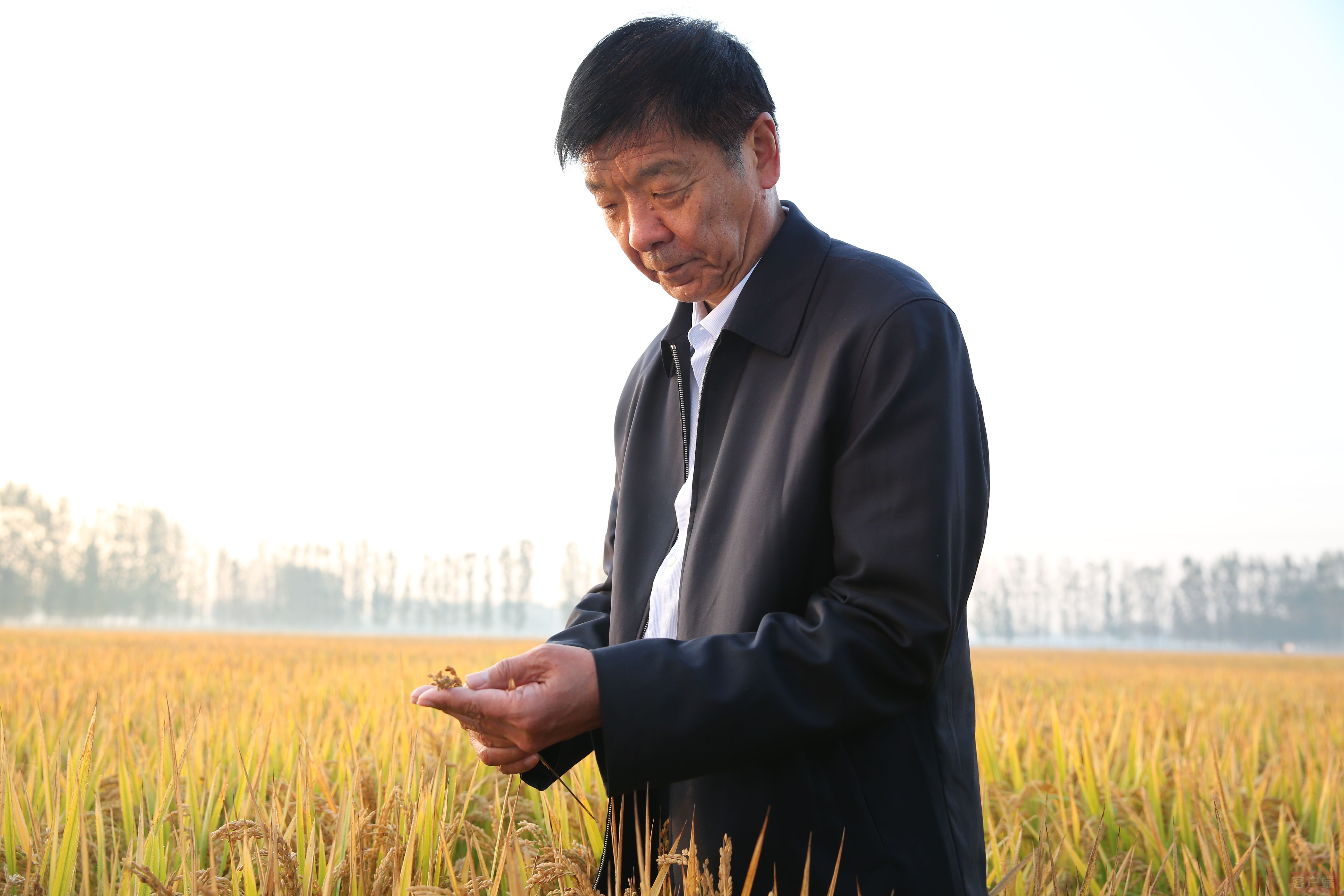 王玉山|公司资产从320万增至170亿！新乡这位老兵企业家怎么做到的？