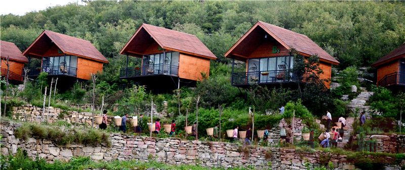 脱贫攻坚|报告文学 | “诗”意凉水泉