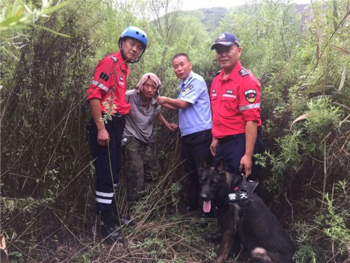 洛阳|极限求生！洛阳70岁老人进山迷路，靠喝水撑了9天！