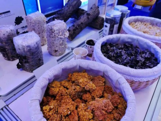 科技|2020年全国科技活动周：抗疫成亮点