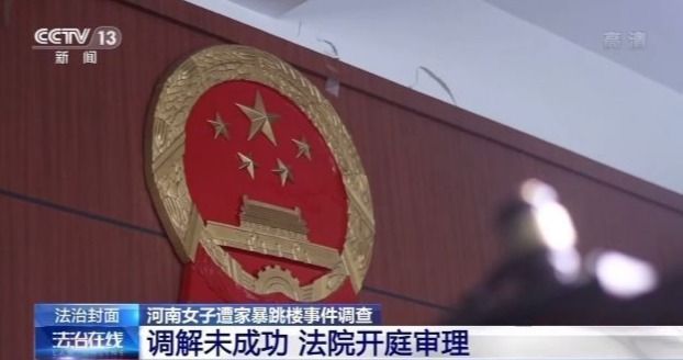 法院调解|河南遭家暴跳楼女子：现已离婚，正进行康复训练并筹备新店