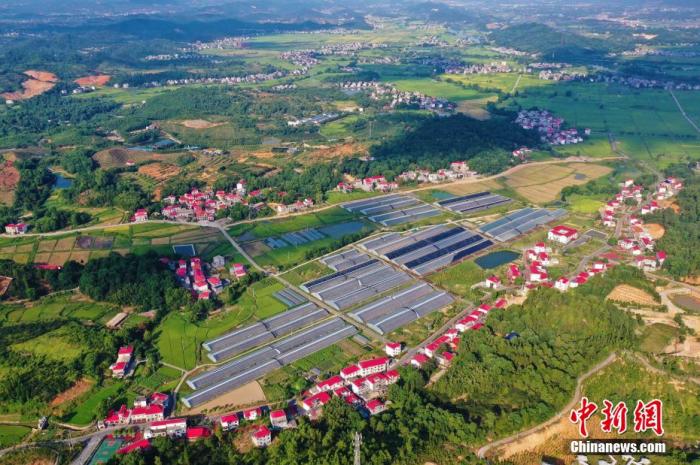 脱贫攻坚|两部门：确保不因灾情等突发事件影响如期实现全面脱贫