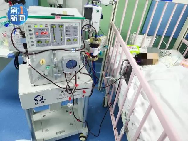 蘑菇|揪心！3个孩子没了！吃这种菜千万要小心…