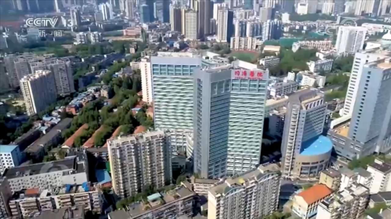 同济医院|焦点访谈：值得被夸！这些集体获得了国家级荣誉