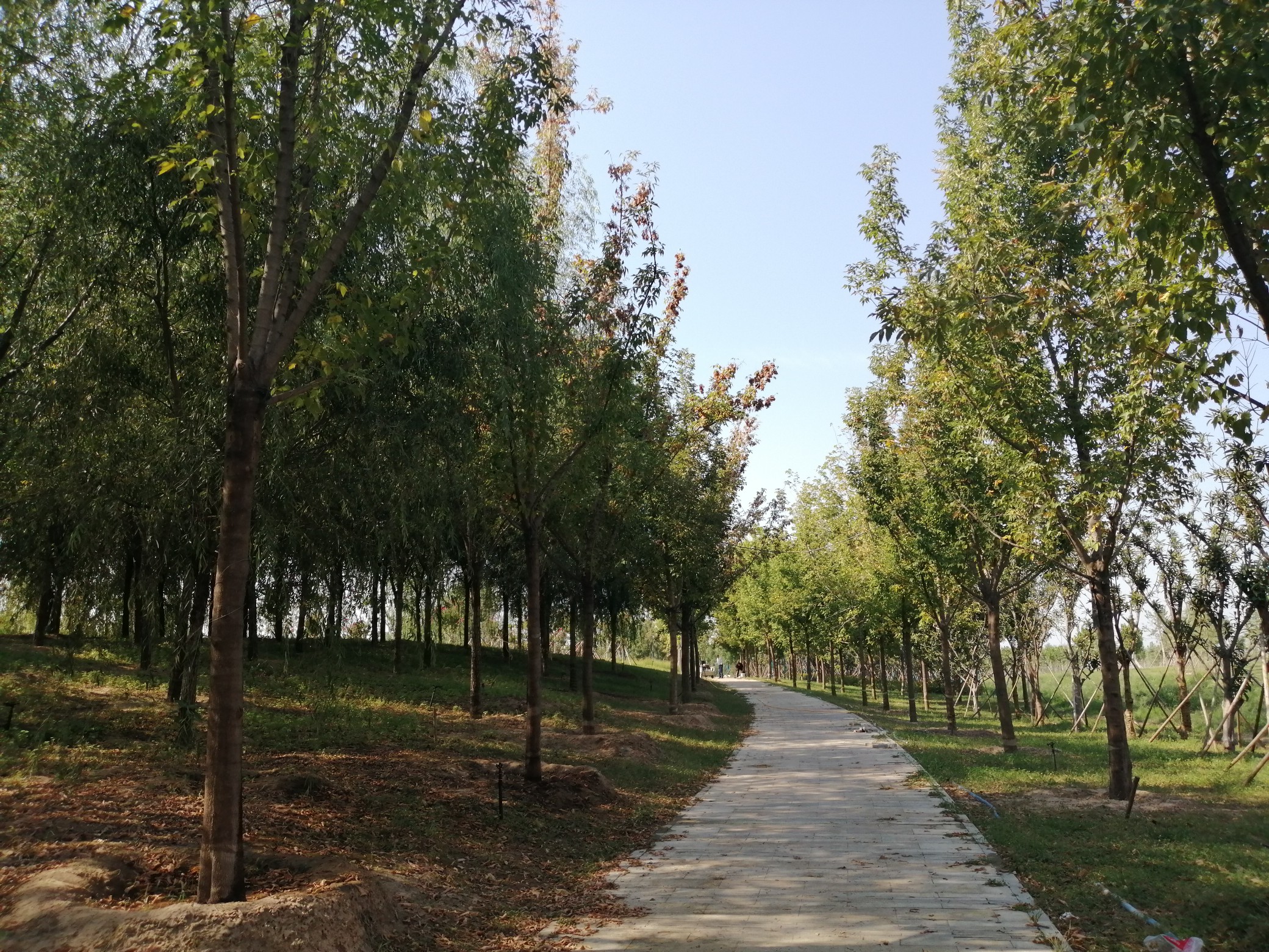 天气|不出意外今天又是秋高气爽天？河南局部还有雨水添凉