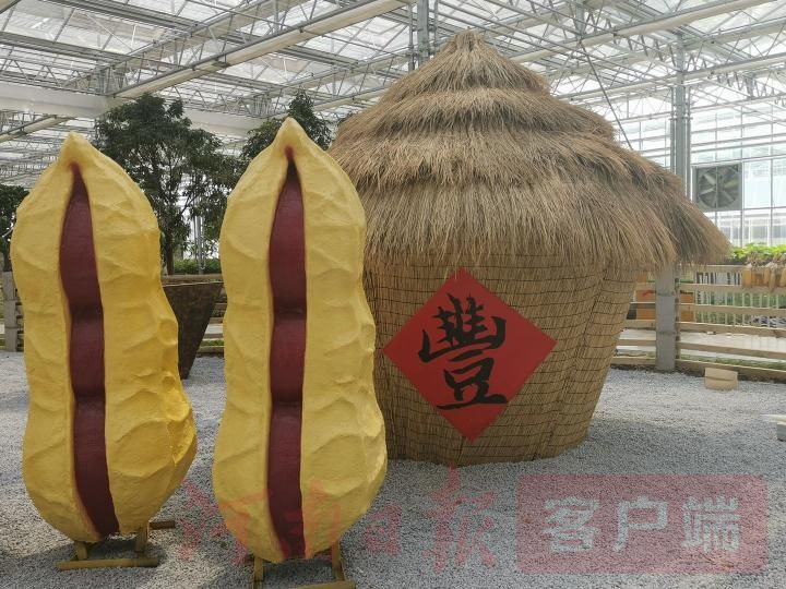 农民|“要把乡村振兴的美好前景全面展示出来”——再访2020年中国农民丰收节河南主会场