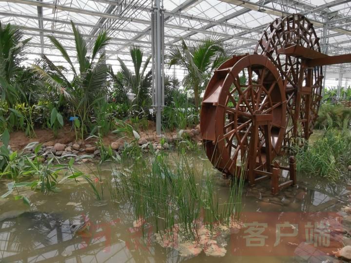 农民|“要把乡村振兴的美好前景全面展示出来”——再访2020年中国农民丰收节河南主会场