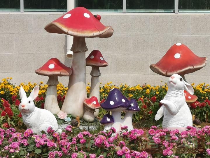 农民|“要把乡村振兴的美好前景全面展示出来”——再访2020年中国农民丰收节河南主会场