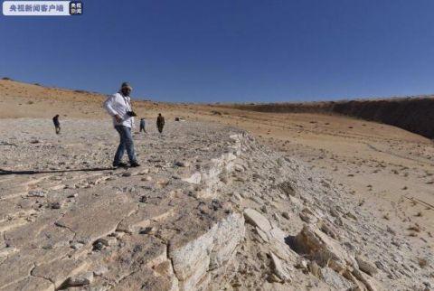 考古|考古学家在沙特发现距今12万多年前的人类脚印