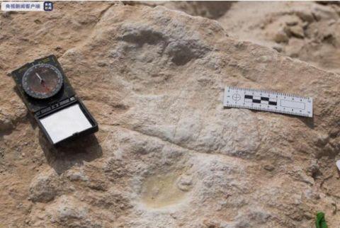 考古|考古学家在沙特发现距今12万多年前的人类脚印
