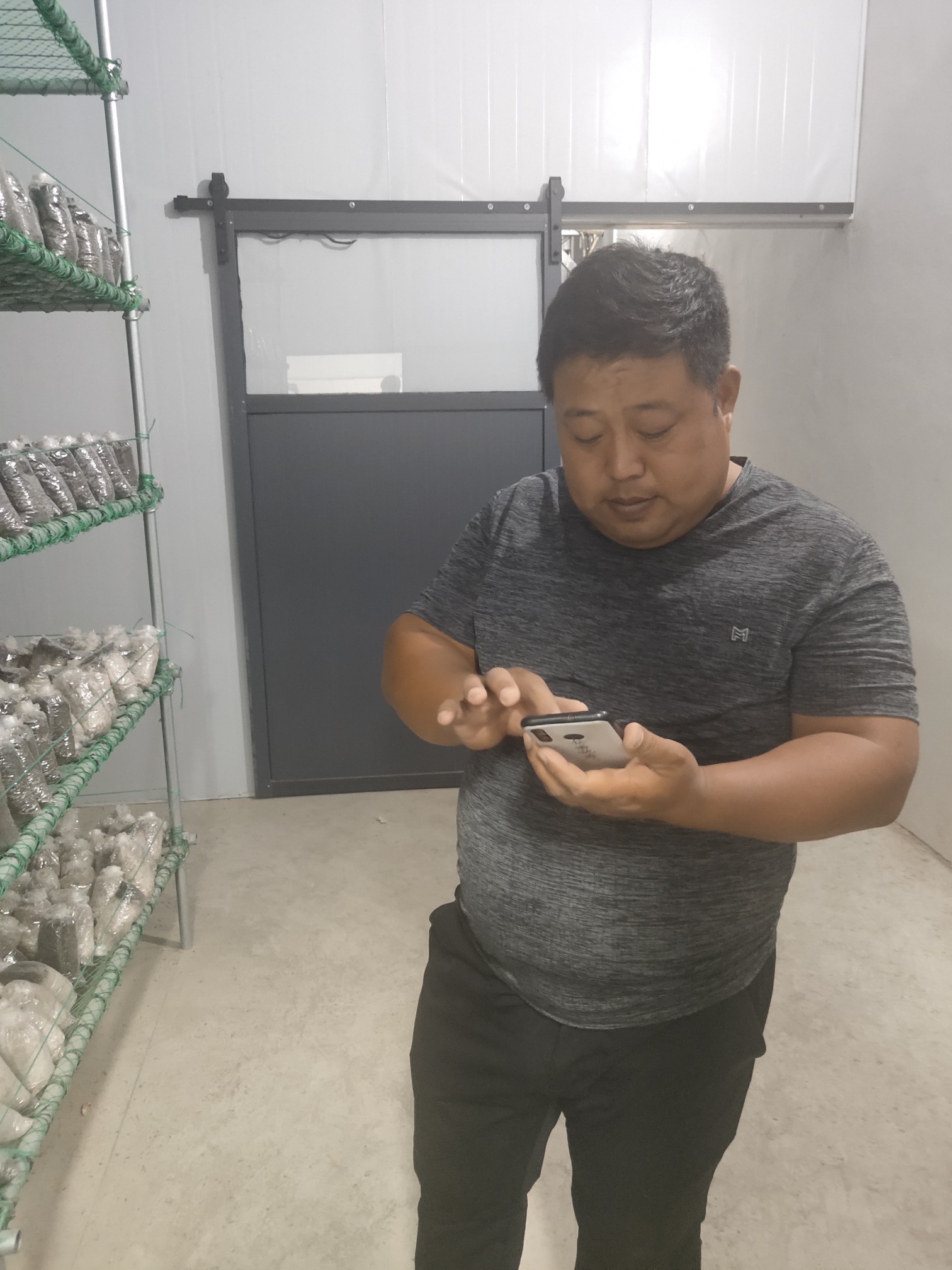 凉拌黄瓜|吃瓜群众的口福：丝瓜干了黄瓜的活，河南的蜜瓜脆脆甜