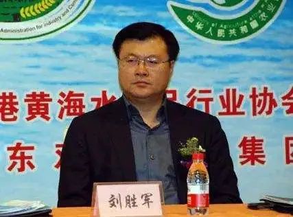 刘胜军|受贿两套房，落马地方大员又曝新问题