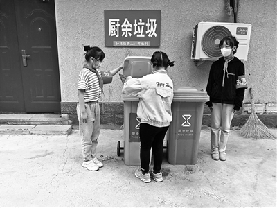 厨余垃圾|校内垃圾“四分法”如何落地？