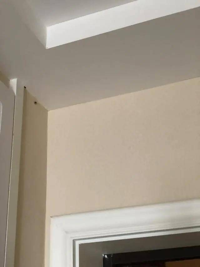 蟑螂|江景房变蟑螂房，杭州这户人家快要崩溃了……