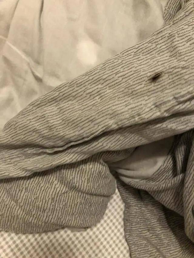 蟑螂|江景房变蟑螂房，杭州这户人家快要崩溃了……