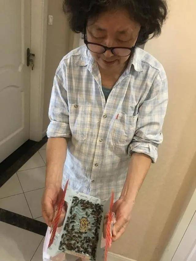 蟑螂|江景房变蟑螂房，杭州这户人家快要崩溃了……