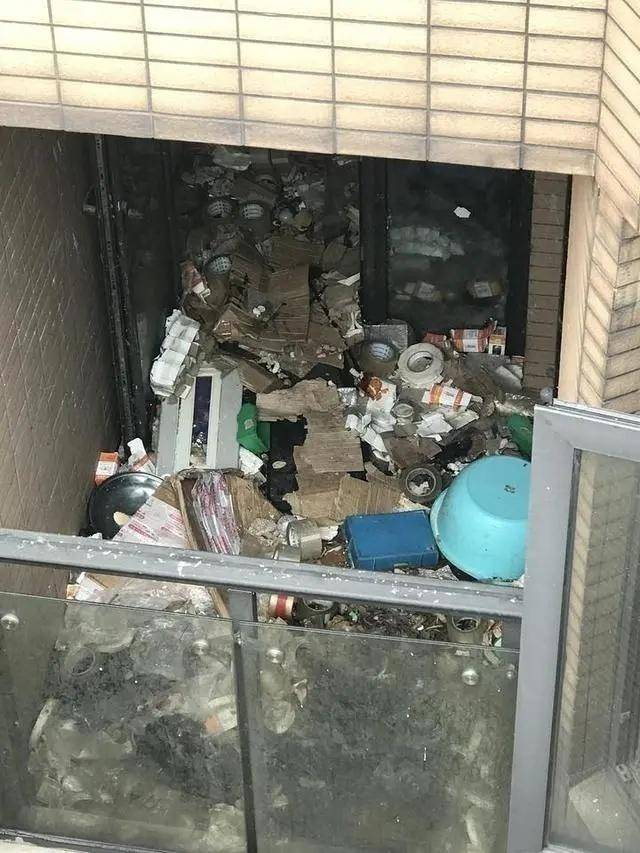 蟑螂|江景房变蟑螂房，杭州这户人家快要崩溃了……