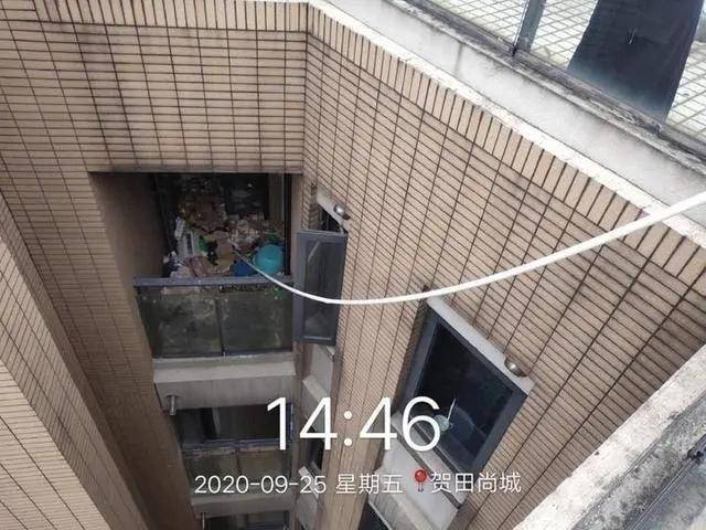 蟑螂|江景房变蟑螂房，杭州这户人家快要崩溃了……