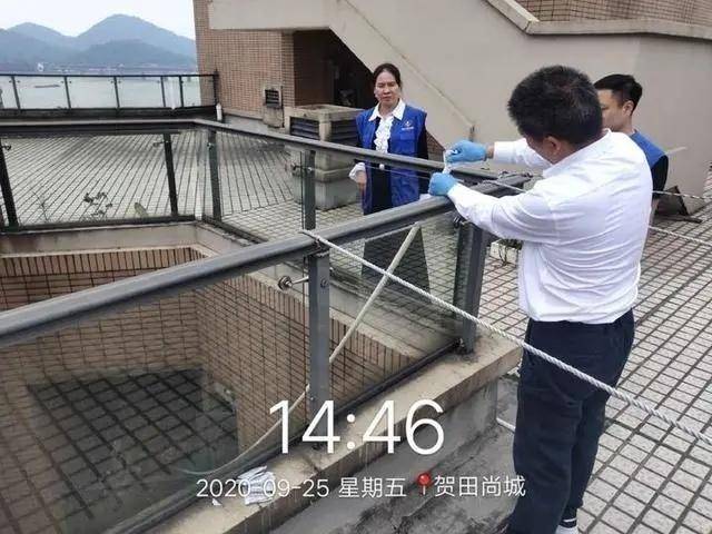 蟑螂|江景房变蟑螂房，杭州这户人家快要崩溃了……