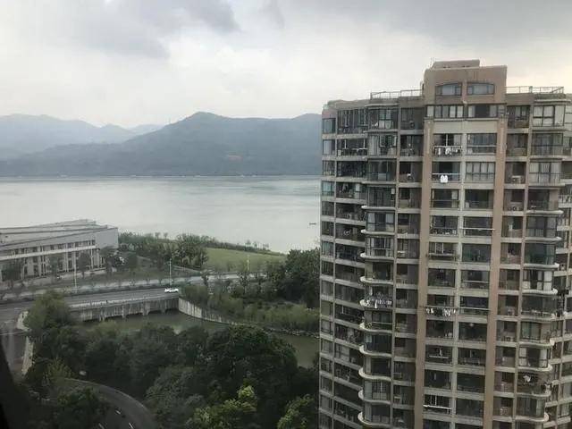 蟑螂|江景房变蟑螂房，杭州这户人家快要崩溃了……