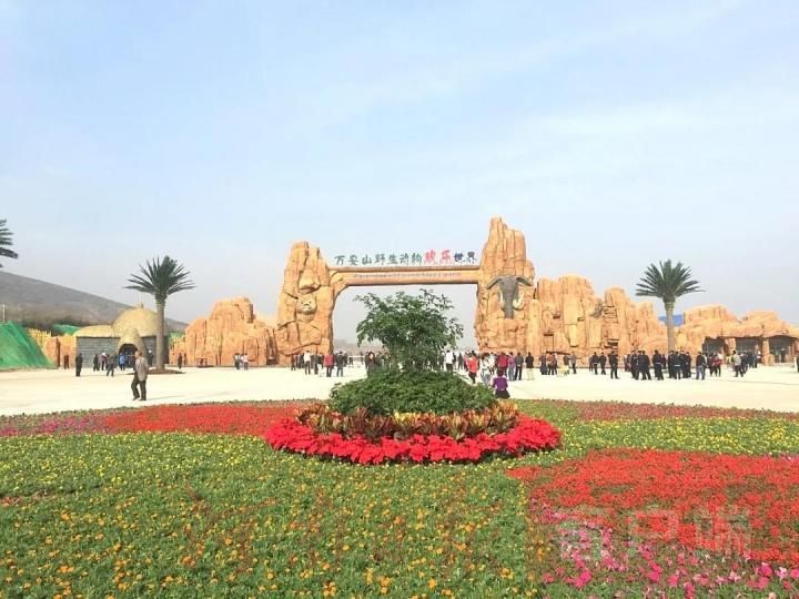 动物|你的美意动物承受不住，中秋节勿请动物吃月饼