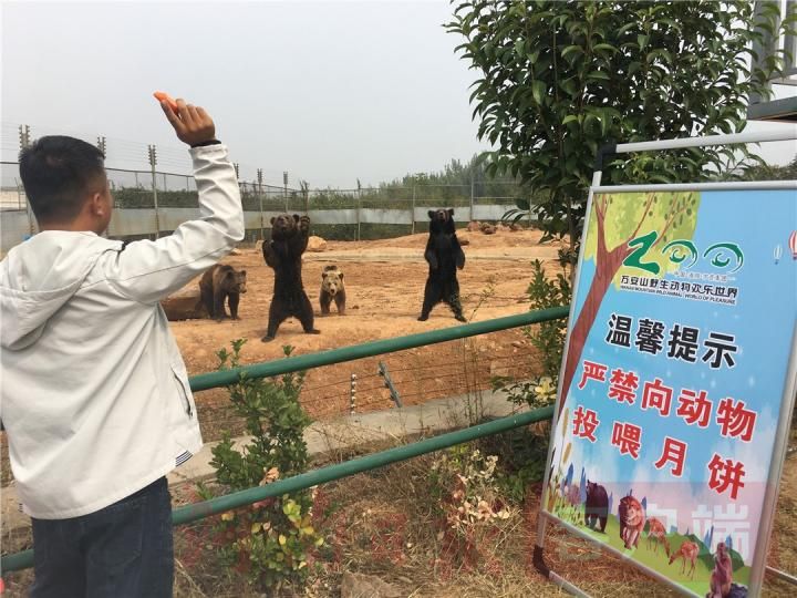 动物|你的美意动物承受不住，中秋节勿请动物吃月饼