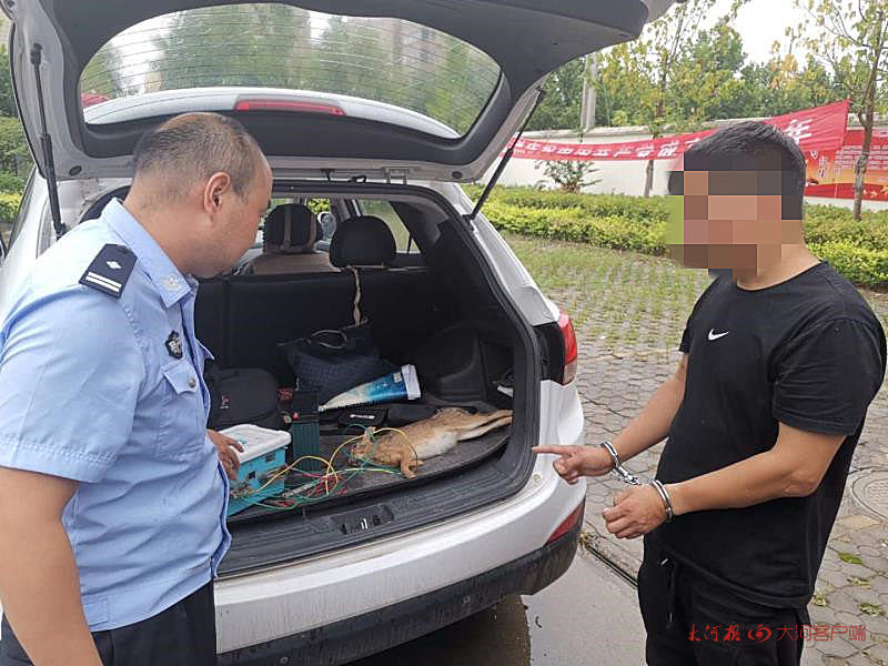 洛阳|洛阳：3人架电网非法狩猎，森林公安当场抓获2人、收缴作案工具