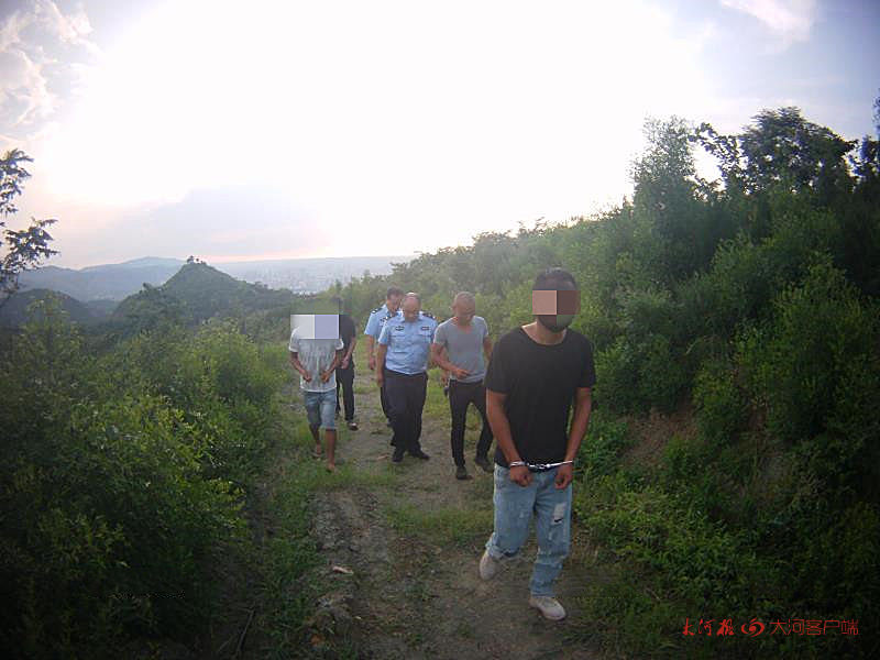 洛阳|洛阳：3人架电网非法狩猎，森林公安当场抓获2人、收缴作案工具