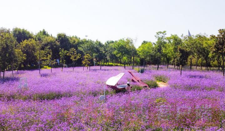 黄金周|“十一黄金周” 电影小镇、郑州方特……等您来！