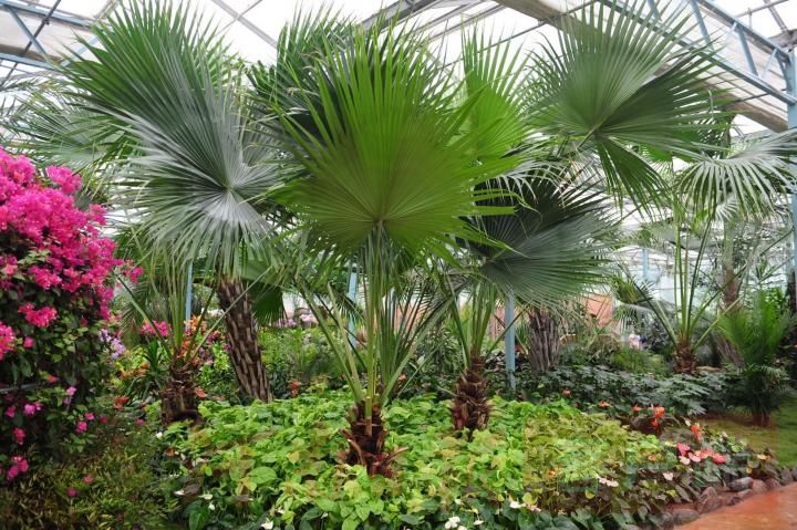 黄金周|“十一黄金周” 电影小镇、郑州方特……等您来！