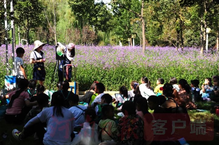 黄金周|“十一黄金周” 电影小镇、郑州方特……等您来！