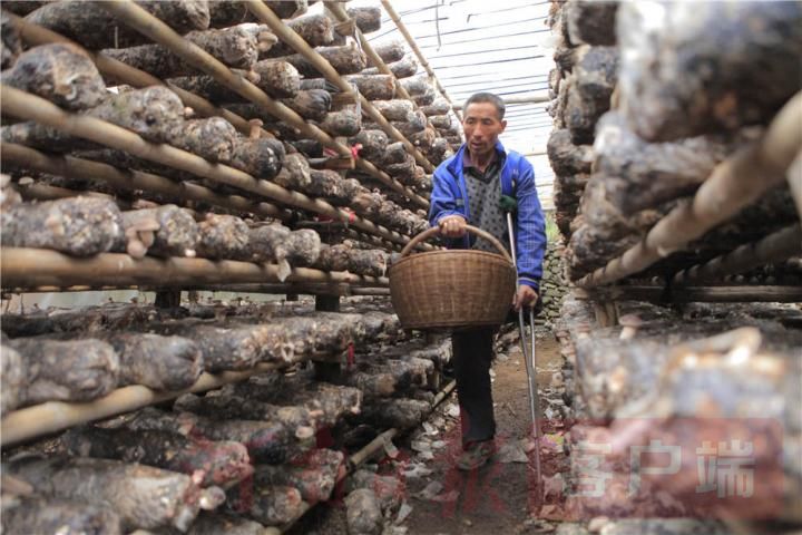 脱贫攻坚|我省首部脱贫攻坚主题电影《铁拐》三门峡首映式举行