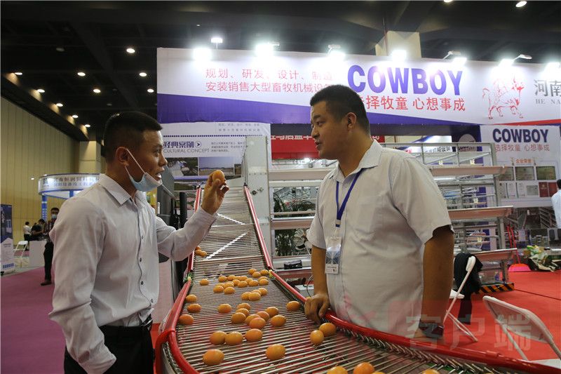 畜牧业|畜牧业展会上“神器”大集合：数据监督员、收蛋小能手、清洁卫士……