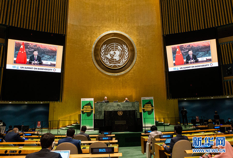 |习近平在联合国生物多样性峰会上发表重要讲话