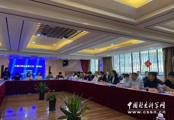 |【大国小鲜@基层之治】社区治理要以党建为根人民为本