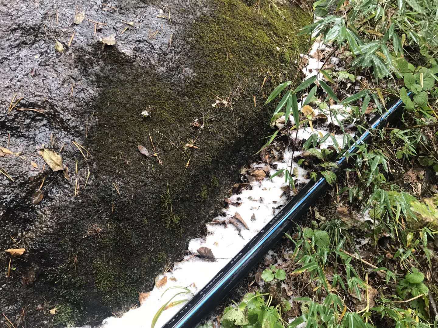 |下雪啦！洛阳白云山迎来2020首场飘雪，游客：爬山赏秋送飘雪，值了!