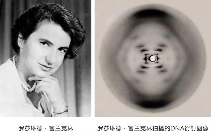 |2020年诺贝尔生理学/医学奖公布，三位科学家因发现丙肝病毒获奖