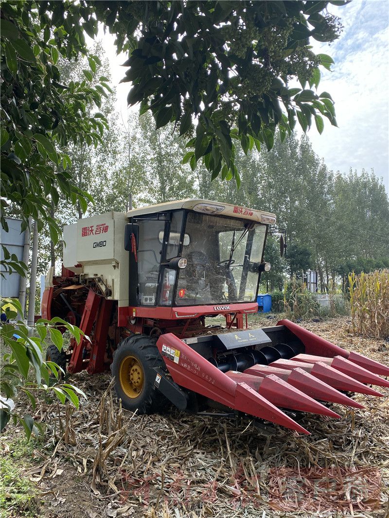 |国庆假期秋收忙！河南秋作物已收获8000多万亩