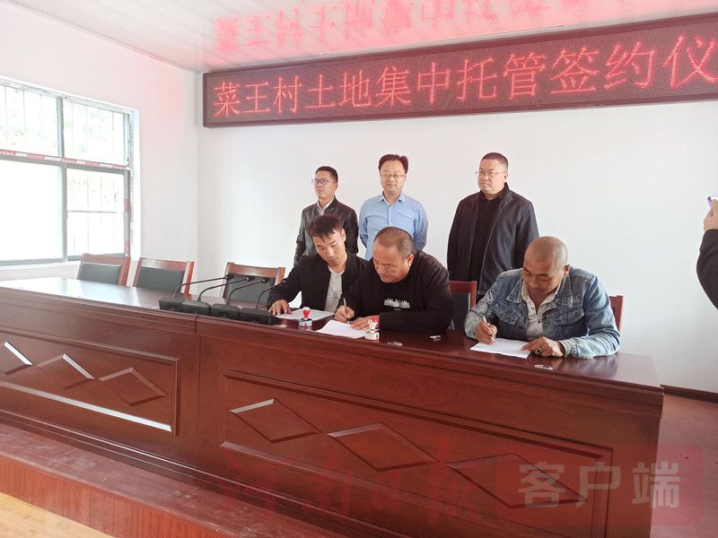 |庆丰收 迎小康｜土地托管托稳“中原粮仓”