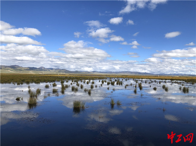|【中国梦·黄河情】行走黄河岸 共见黄河情