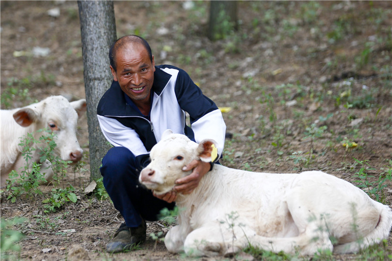 |百名记者进百村｜白石崖村的新名片