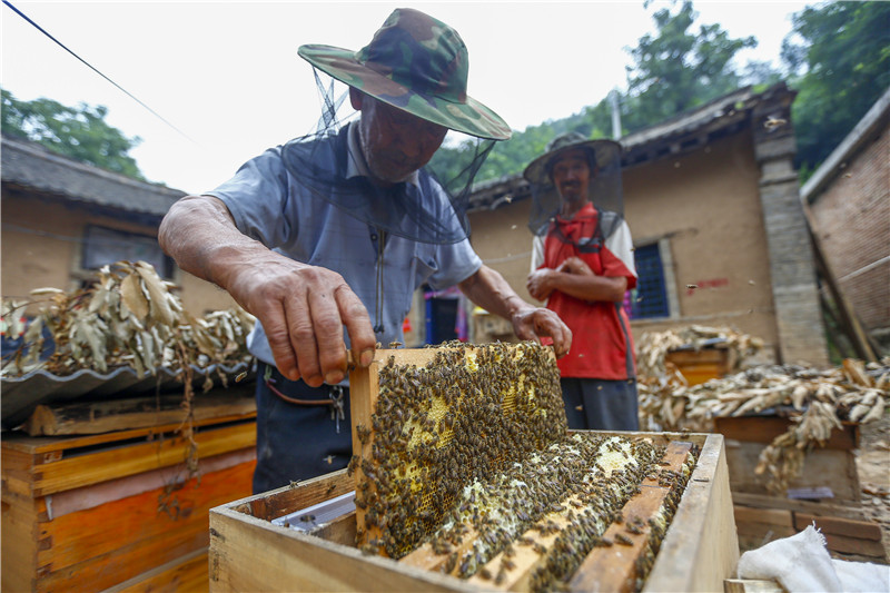 |百名记者进百村｜白石崖村的新名片