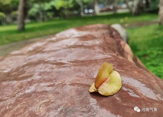 |降温降雨持续 寒冷升级 河南西部、西北部高海拔山区有雨夹雪