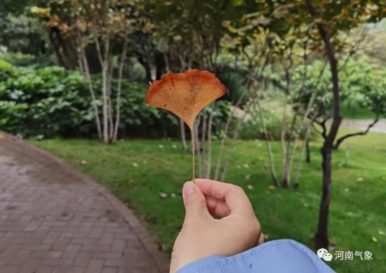 |降温降雨持续 寒冷升级 河南西部、西北部高海拔山区有雨夹雪