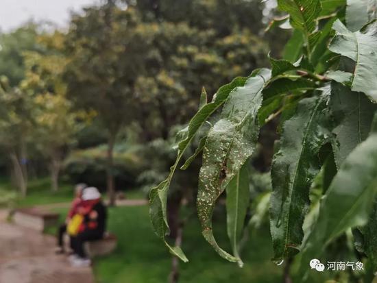 |降温降雨持续 寒冷升级 河南西部、西北部高海拔山区有雨夹雪
