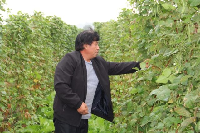 |祥符区仇楼镇：紧跟时代助脱贫，这个农民不简单