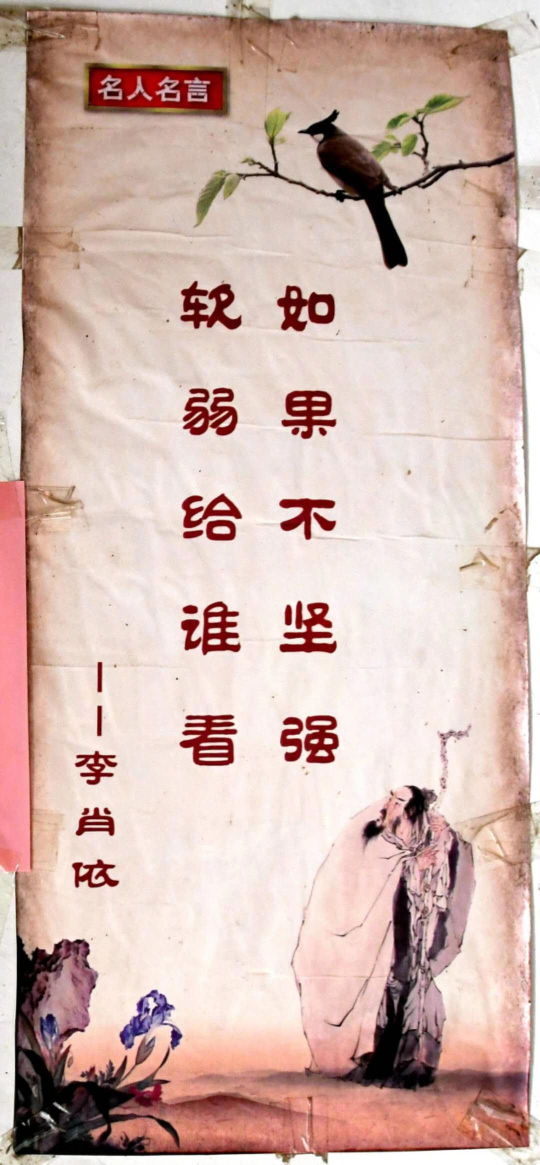 |汝阳深山农家走出博士生，坚信：知识可以改变命运