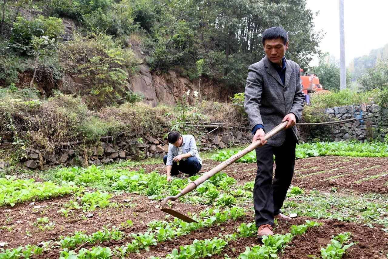 |汝阳深山农家走出博士生，坚信：知识可以改变命运