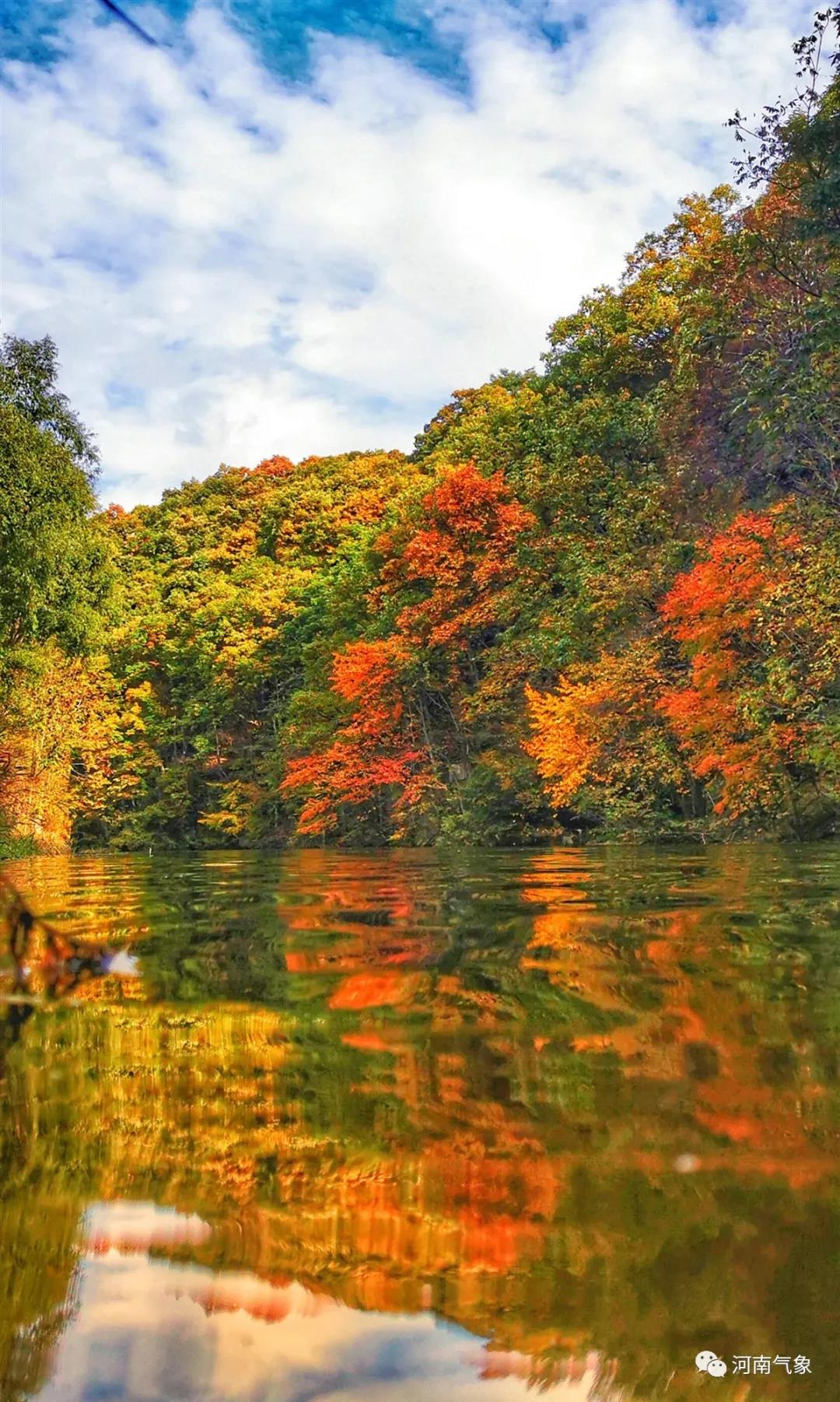 |冷空气来袭！大风降温！部分地区最低气温不足5℃