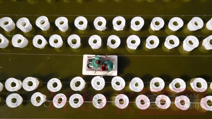 |汝阳：发展水蛭养殖 带动村民致富